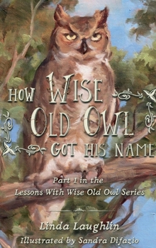 How Wise Old Owl Got His Name