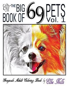 Paperback The Big Book of 69 Pets Book