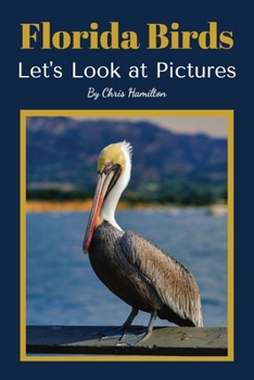 Paperback Florida Birds: Let's Look at Pictures Book