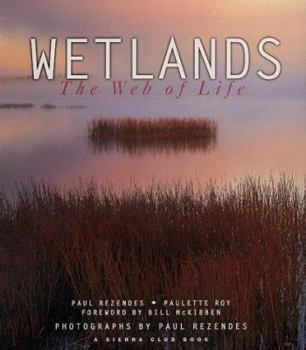 Paperback Wetlands: The Web of Life Book