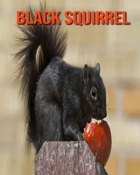 Black Squirrel: Super Fun Facts And Amazing Pictures