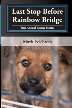 Last Stop Before Rainbow Bridge: Inspiring Stories of True Animal Rescues