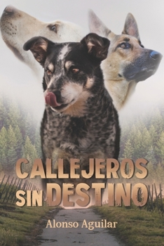 Paperback Callejeros sin destino [Spanish] Book