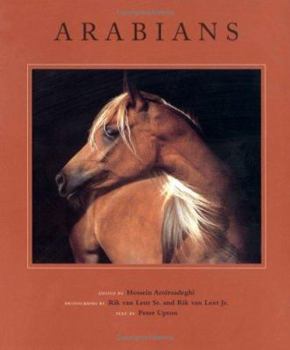 Paperback Arabians Book