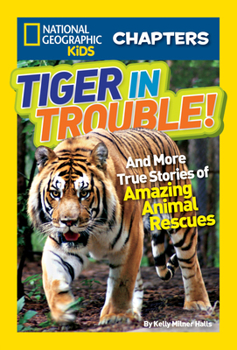 Paperback Tiger in Trouble!: And More True Stories of Amazing Animal Rescues Book
