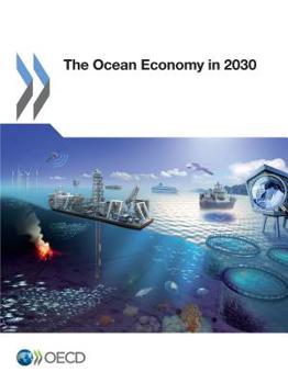 Paperback The Ocean Economy in 2030 Book