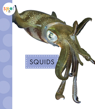 Paperback Squids Book