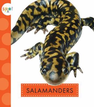 Paperback Salamanders Book