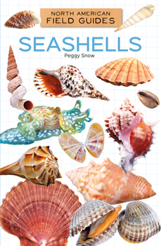 Library Binding Seashells Book