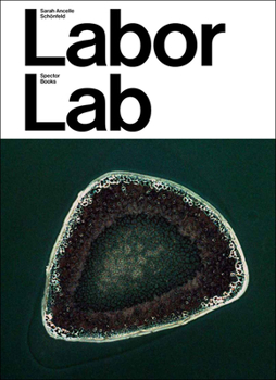 Paperback Sarah Ancelle Schönfeld: Labor Lab Book