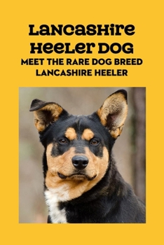 Lancashire Heeler Dog: Meet The Rare Dog Breed Lancashire Heeler: Lancashire Heeler Dog Info, Temperament, Puppies, Pictures