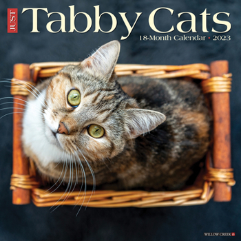 Calendar Just Tabby Cats 2023 Wall Calendar Book