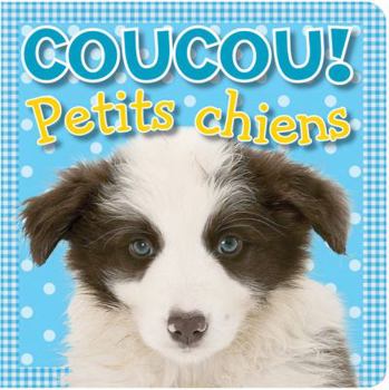 Board book Coucou! Petits Chiens [French] Book