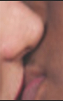 Paperback Studentenreflexion [German] Book