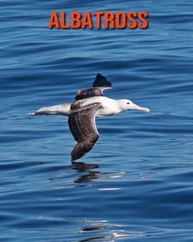 Paperback Albatross: Fun Learning Facts About Albatross Book