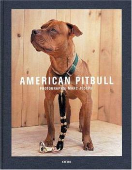 Hardcover Marc Joseph: American Pitbull Book