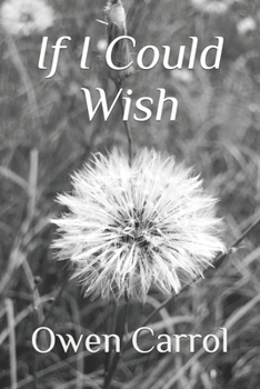 Paperback If I Could Wish Book