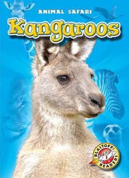 Kangaroos - Book  of the Animal Safari