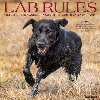 Calendar Lab Rules 2025 12 X 12 Wall Calendar Book