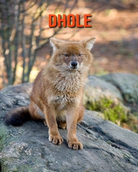 Paperback Dhole: Amazing Facts about Dhole Book