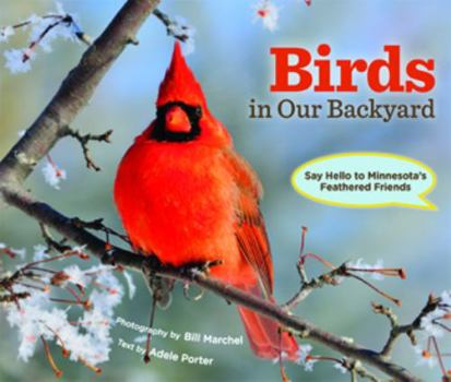 Hardcover Birds in Our Backyard: Say Hello to Minnesota's Feathered Friends Book