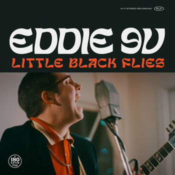 Vinyl Little Black Flies Book