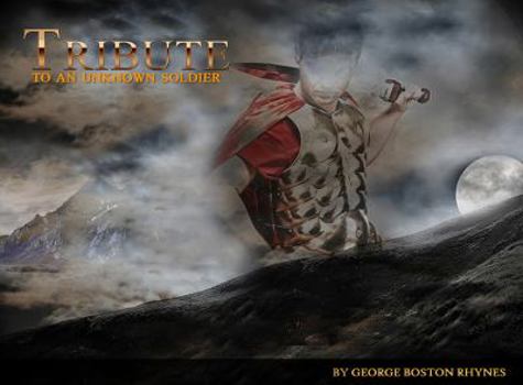 Hardcover Tribute To An Unknown Soldier Book