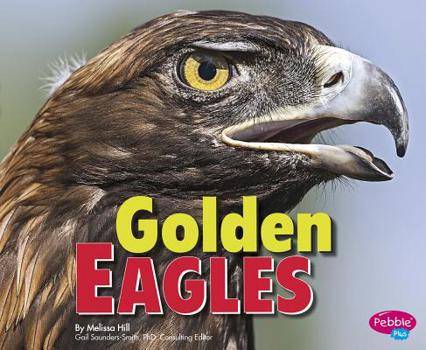 Hardcover Golden Eagles Book