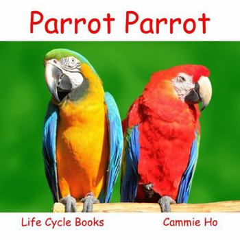 Paperback Parrot Parrot: Life Cycle Books Book