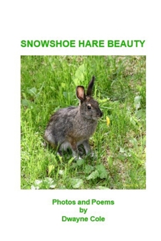 Paperback Snowshoe Hare Beauty Book