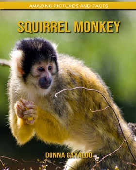 Squirrel monkey: Amazing Pictures and Facts