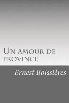 Paperback Un amour de province [French] Book