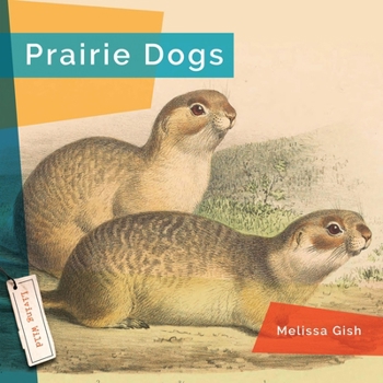 Paperback Prairie Dogs Book