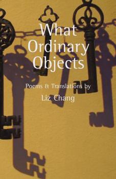 Paperback What Ordinary Objects Book