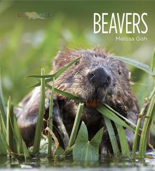 Paperback Living Wild: Beavers Book