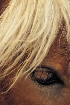 2020 Weekly Planner Horse Photo Equine Horse White Mane 134 Pages: 2020 Planners Calendars Organizers Datebooks Appointment Books Agendas