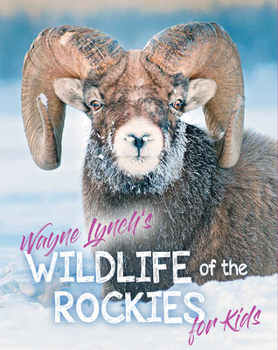 Paperback Wildlife of the Rockies for Kids Book