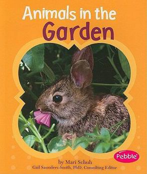 Paperback Animals in the Garden Book