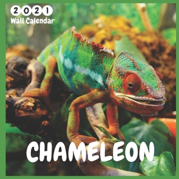 Paperback Chameleon 2021 Wall Calendar: Official Chameleon Calendar 2021, 12 Months, Chameleon Lovers Calendar Book