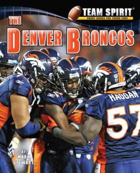 Denver Broncos (Team Spirit)