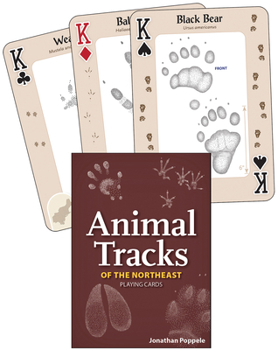 Cards Animal Tracks of the Northeast Playing Cards Book