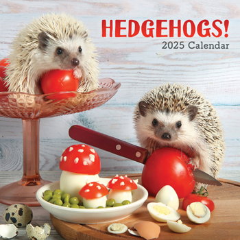 2025 Hedgehogs! Wall calendar
