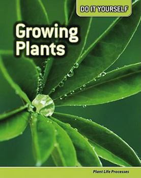 Growing Plants: Plant Life Processes - Book  of the Do it Yourself