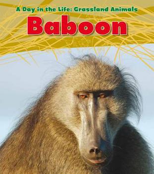 Hardcover Baboon Book