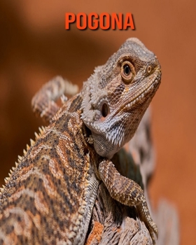 Paperback Pogona: Informations Etonnantes & Images [French] Book