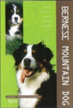 Paperback Bernese Mountain Dog Book