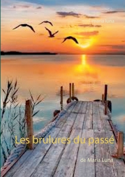 Paperback Les brulures du passé [French] Book