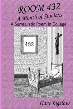 Paperback Room 432 Book