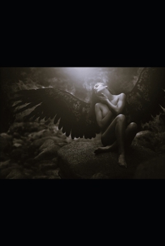 Paperback ShadowHouse Series: Sanity's Release Volume 2 Book