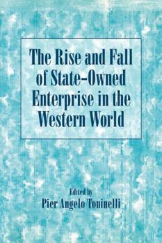 The Rise and Fall of State-Owned Enterprise in the Western World - Book  of the Comparative Perspectives in Business History